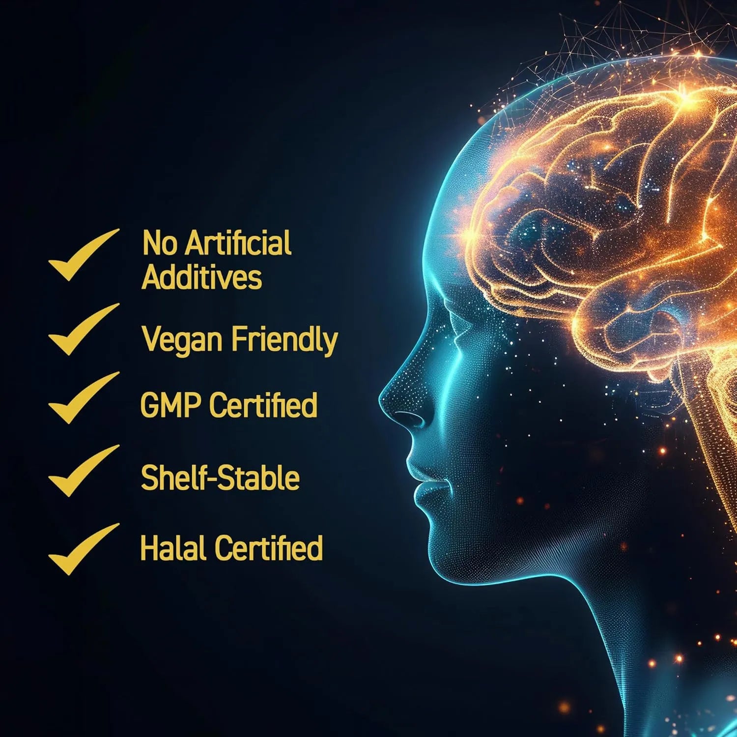 Applied Nutrition Shilajit Lions Mane Ashwagandha 60 gélules