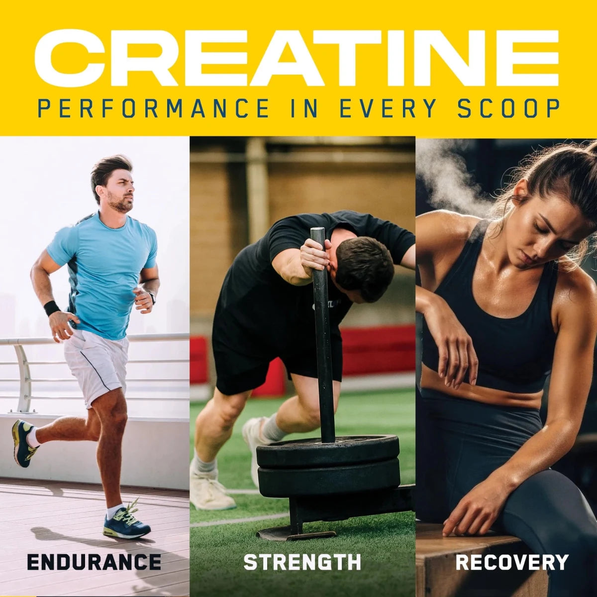 Applied Nutrition Creatine Monohydrate Peptide poudre 222g nature