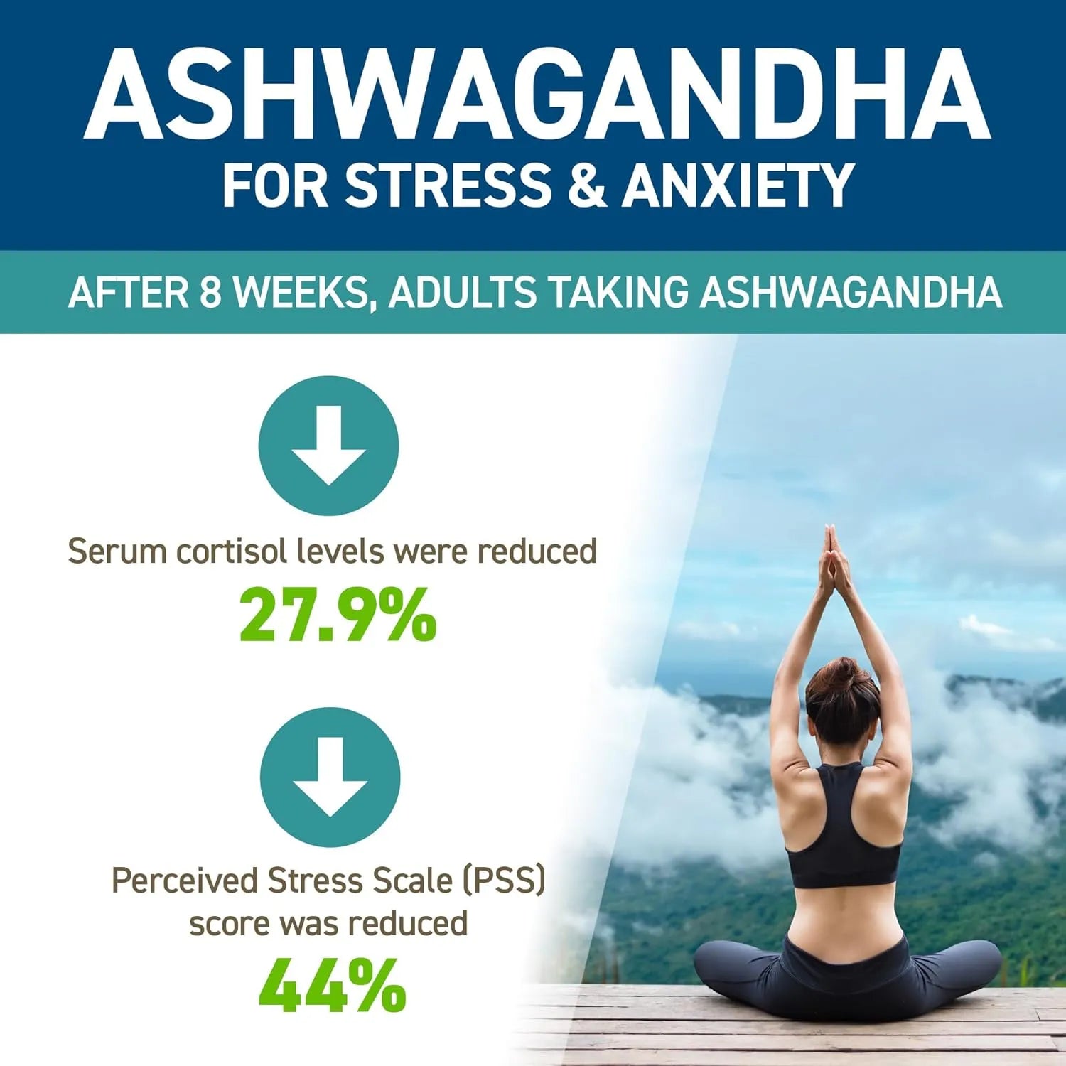Applied Nutrition Ashwagandha KSM-66 gélules 60 x 300mg stress