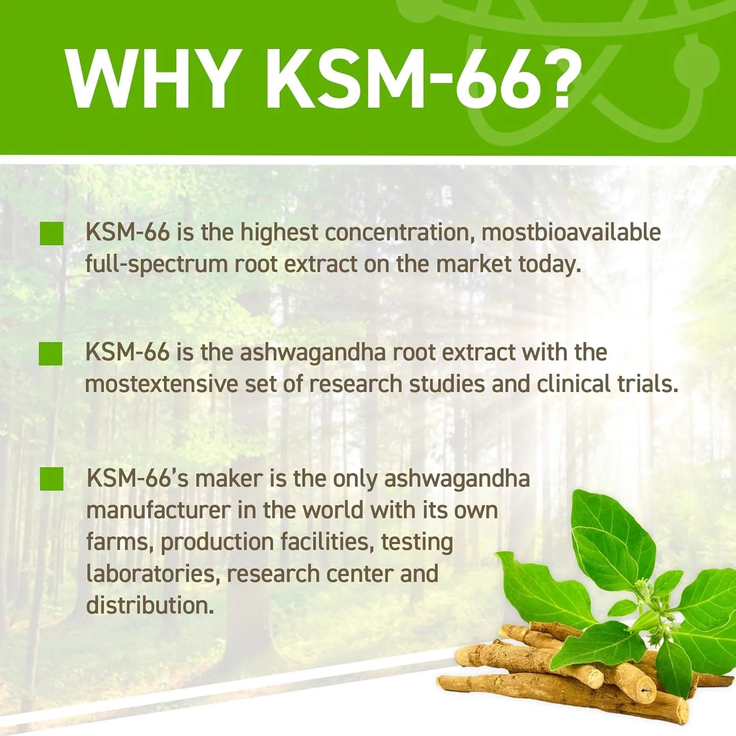 Applied Nutrition Ashwagandha KSM-66 gélules 60 x 300mg stress