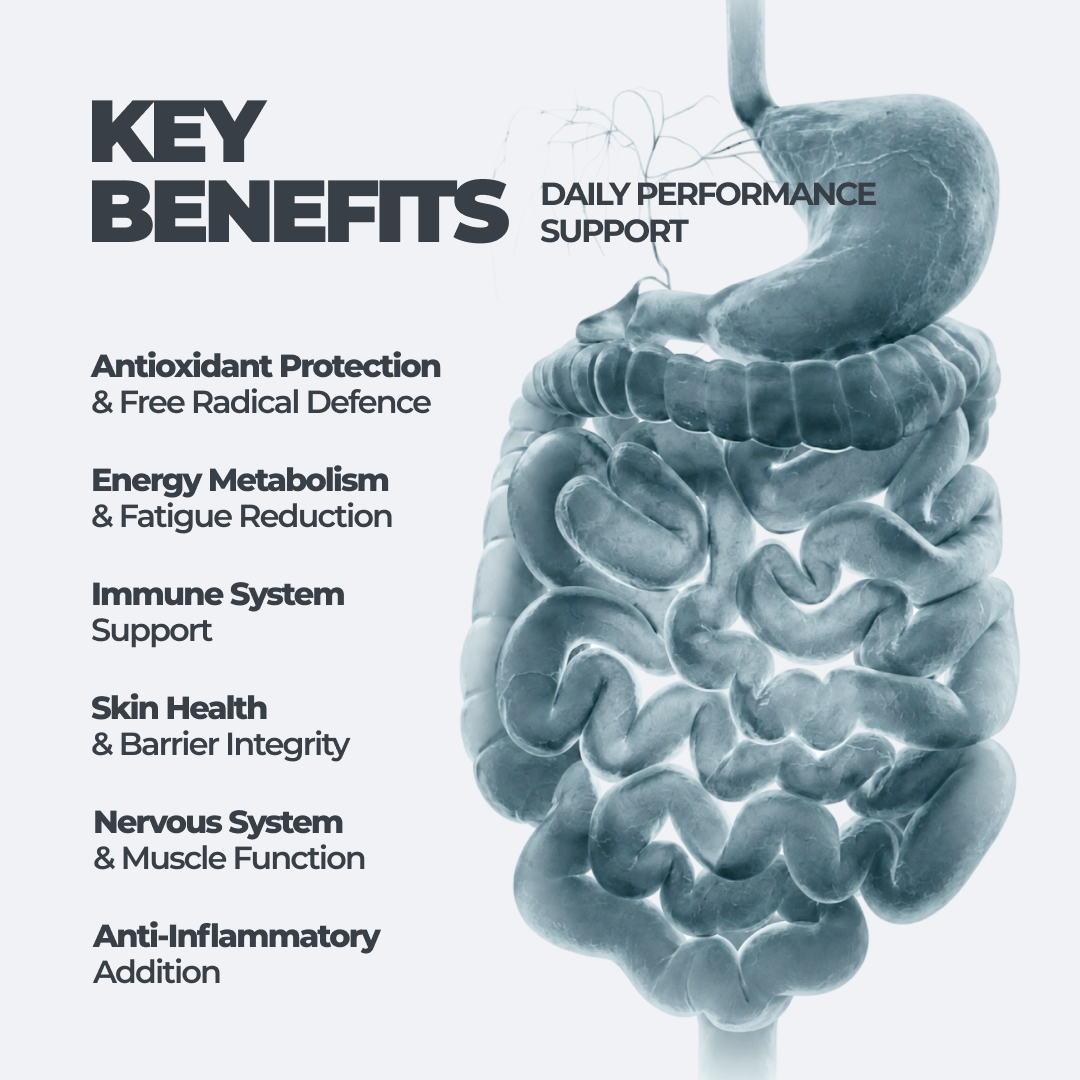 DY Life Antioxidant Complex gélules 60 softgels antioxydant