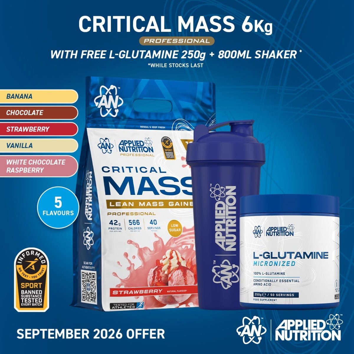 Applied Nutrition Critical Mass Gainer Masse Chocolat 2,4 kg