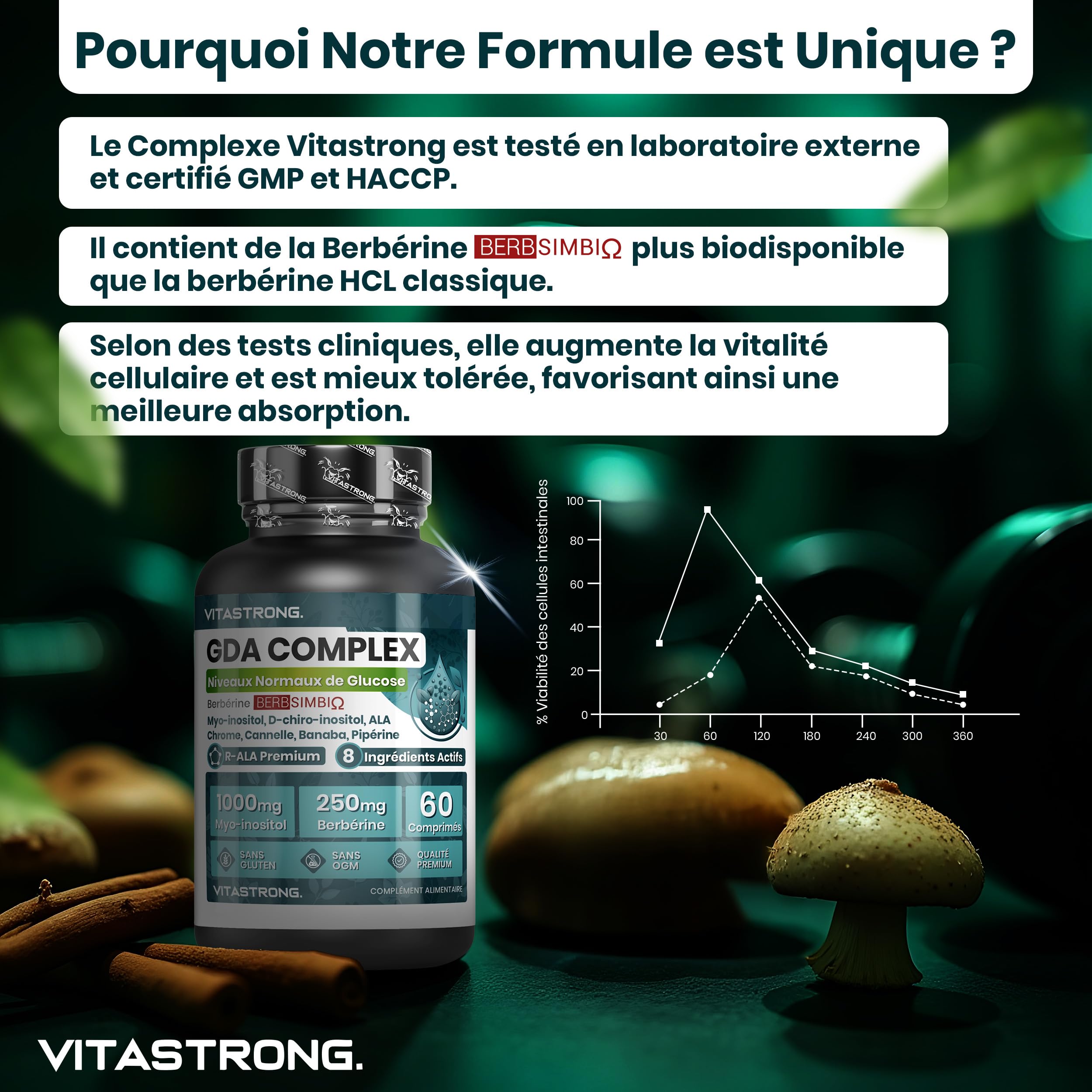 Vitastrong Vitalité Berbérine GDA Complex 250 mg 60 cpr