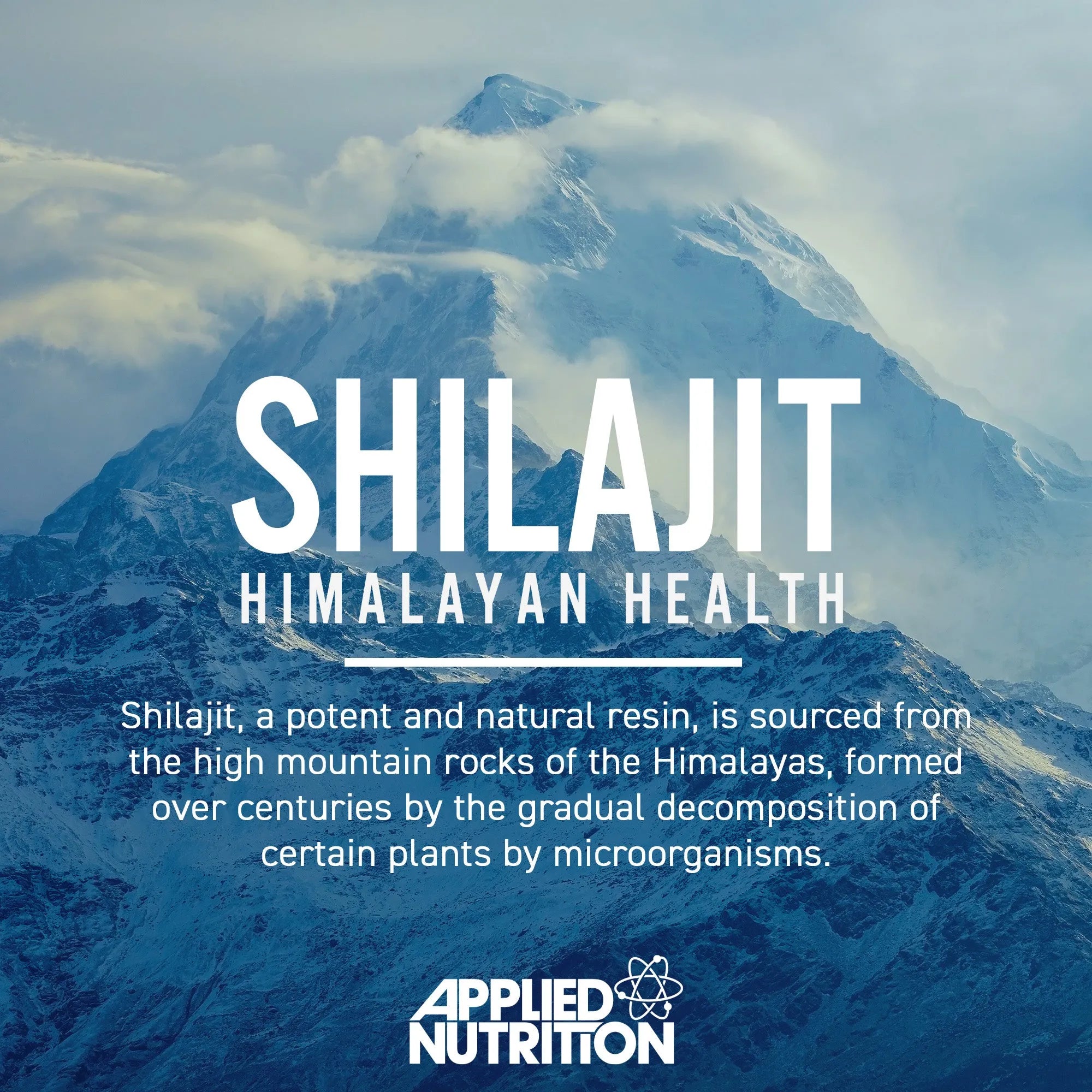 Applied Nutrition Pure Shilajit gélules himalayen 90 minéraux