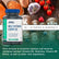 Applied Nutrition Vitality Multi-Vitamin Complex Gélules 90 Capsules