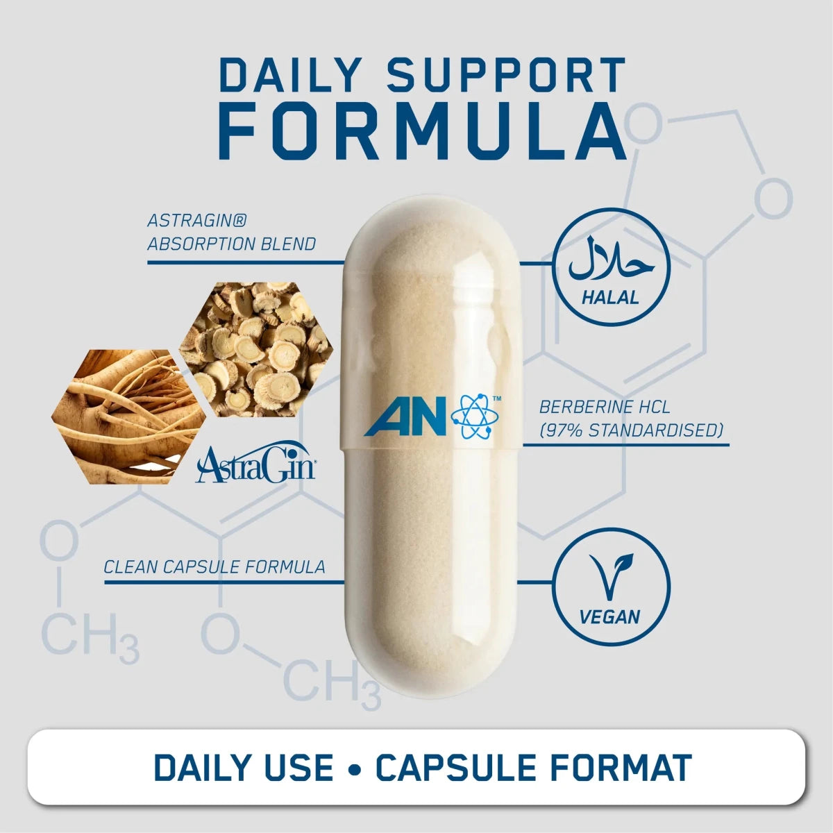 Applied Nutrition Berbérine 1000 mg Gélules 60 Capsules