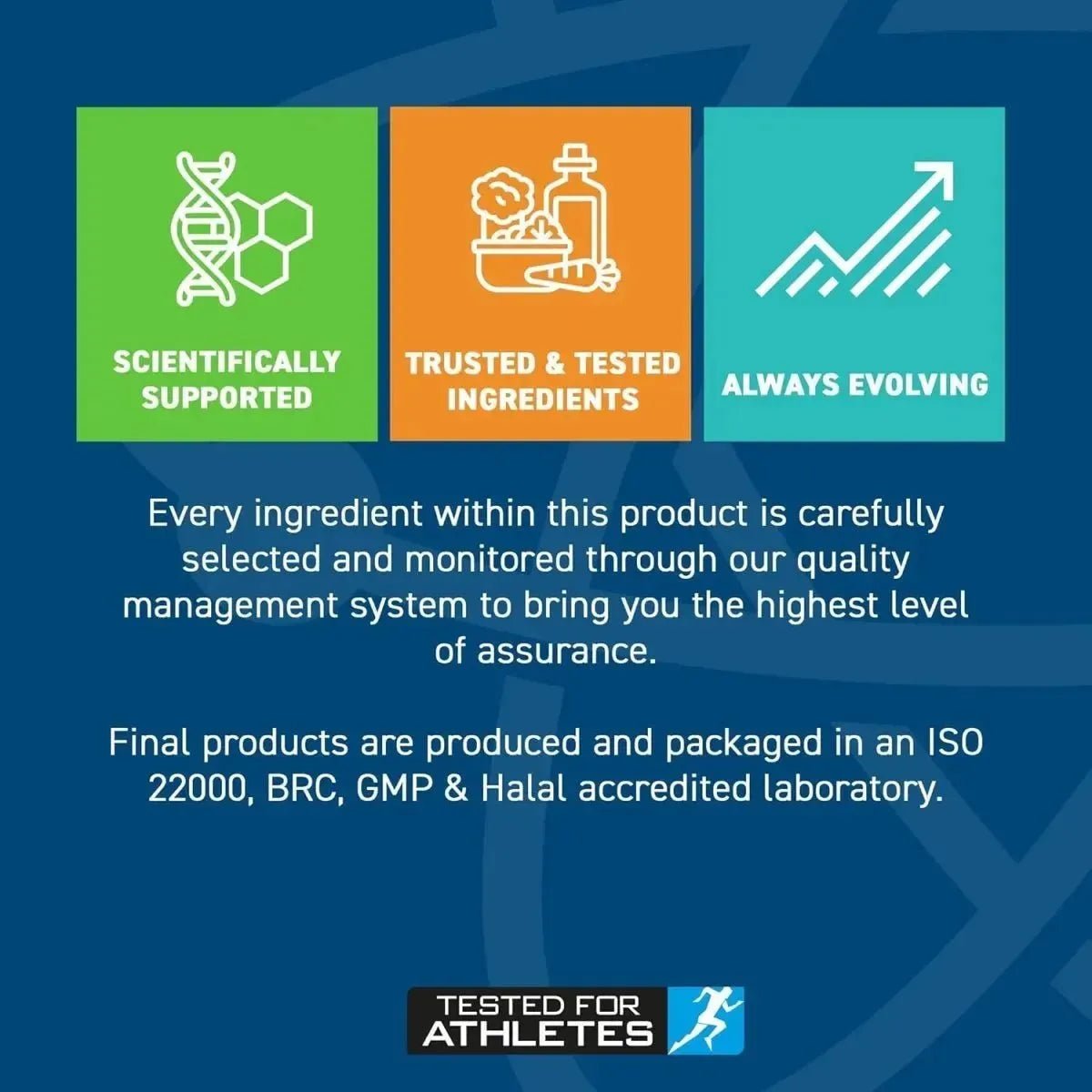 Applied Nutrition TUDCA + NAC gélules 90 gélules foie