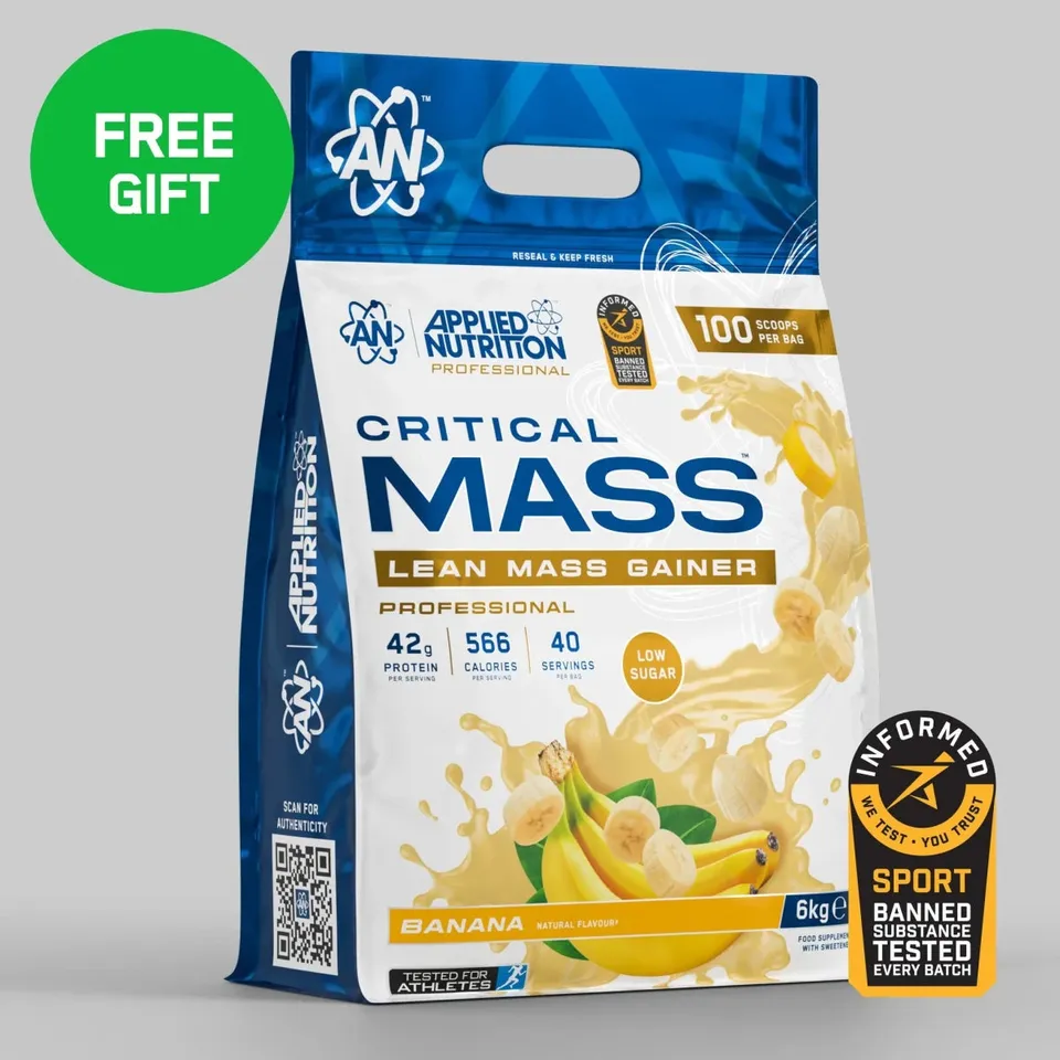 Applied Nutrition Critical Mass Gainer Masse Chocolat 2,4 kg