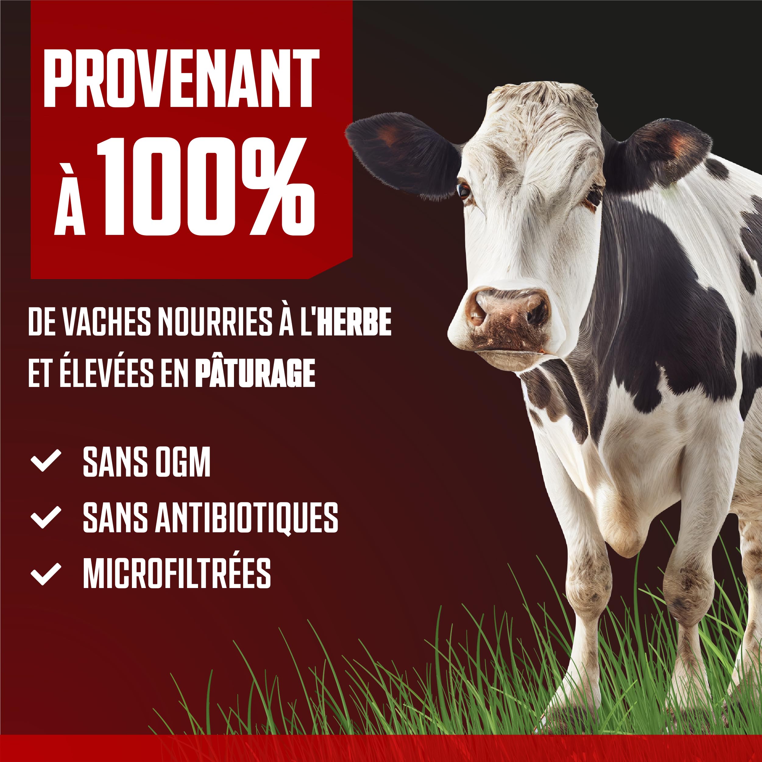 Vitastrong Protéines Whey Isolat Concentré chocolat 23 g