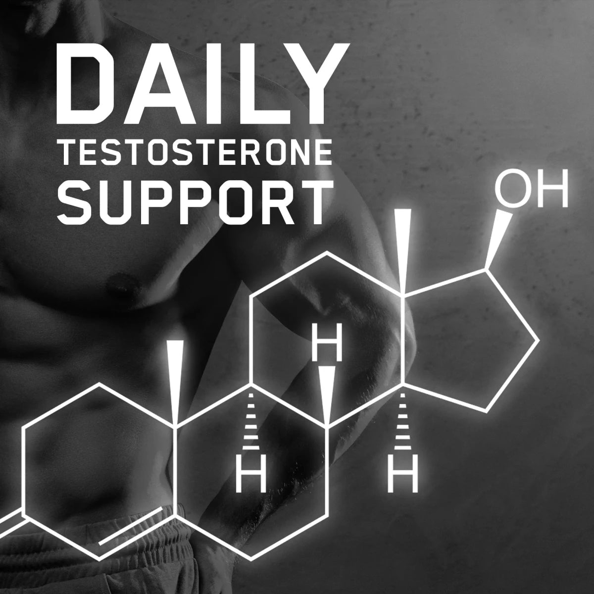 Applied Nutrition Test X Testostérone Homme 120 Gélules