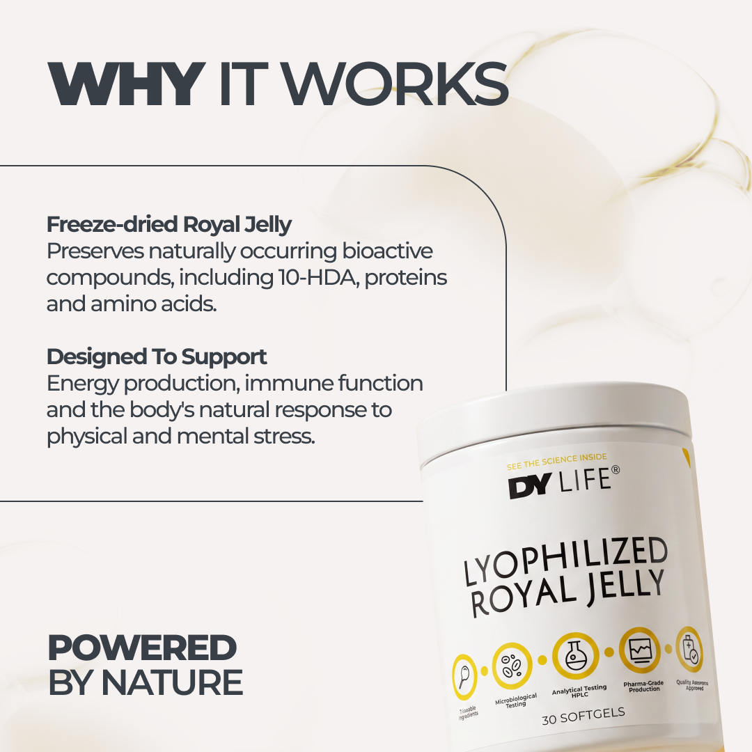 DY Life Gelée Royale Lyophilisée 30 softgels cure 30 jours