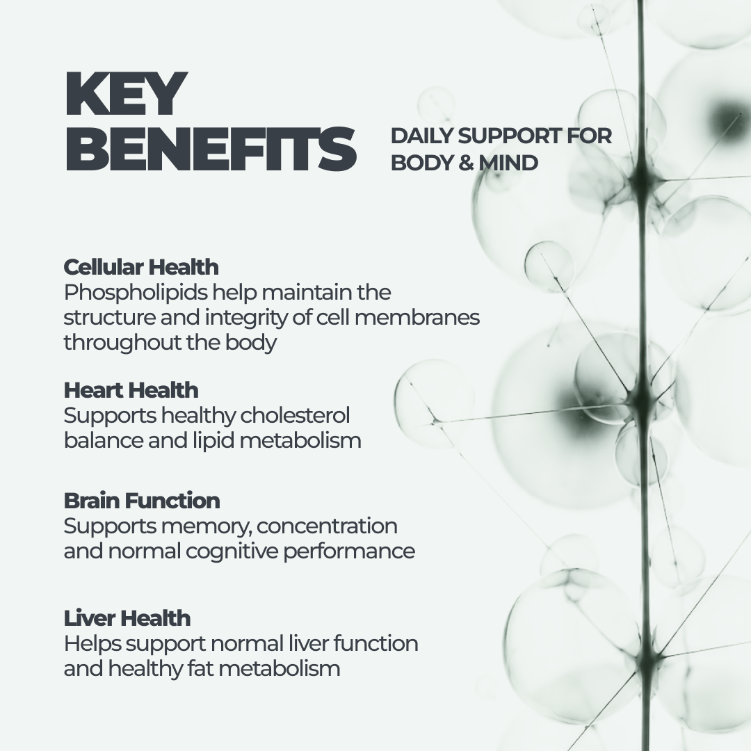 DY Life Lécithine de Soja 60 capsules choline foie