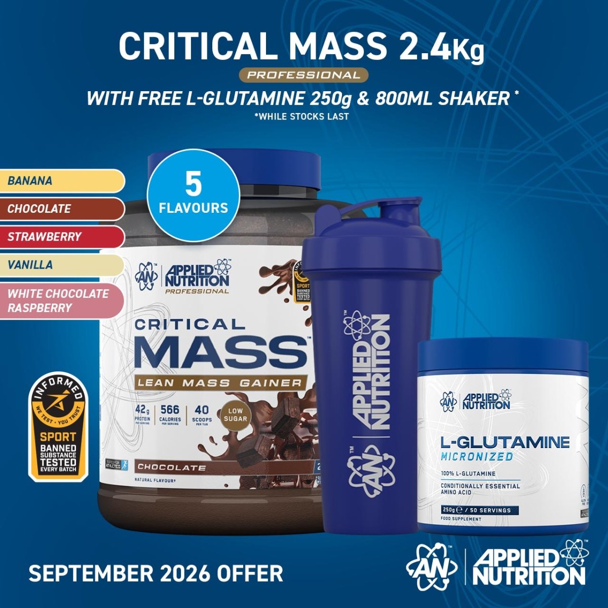 Applied Nutrition Critical Mass Gainer Masse Chocolat 2,4 kg