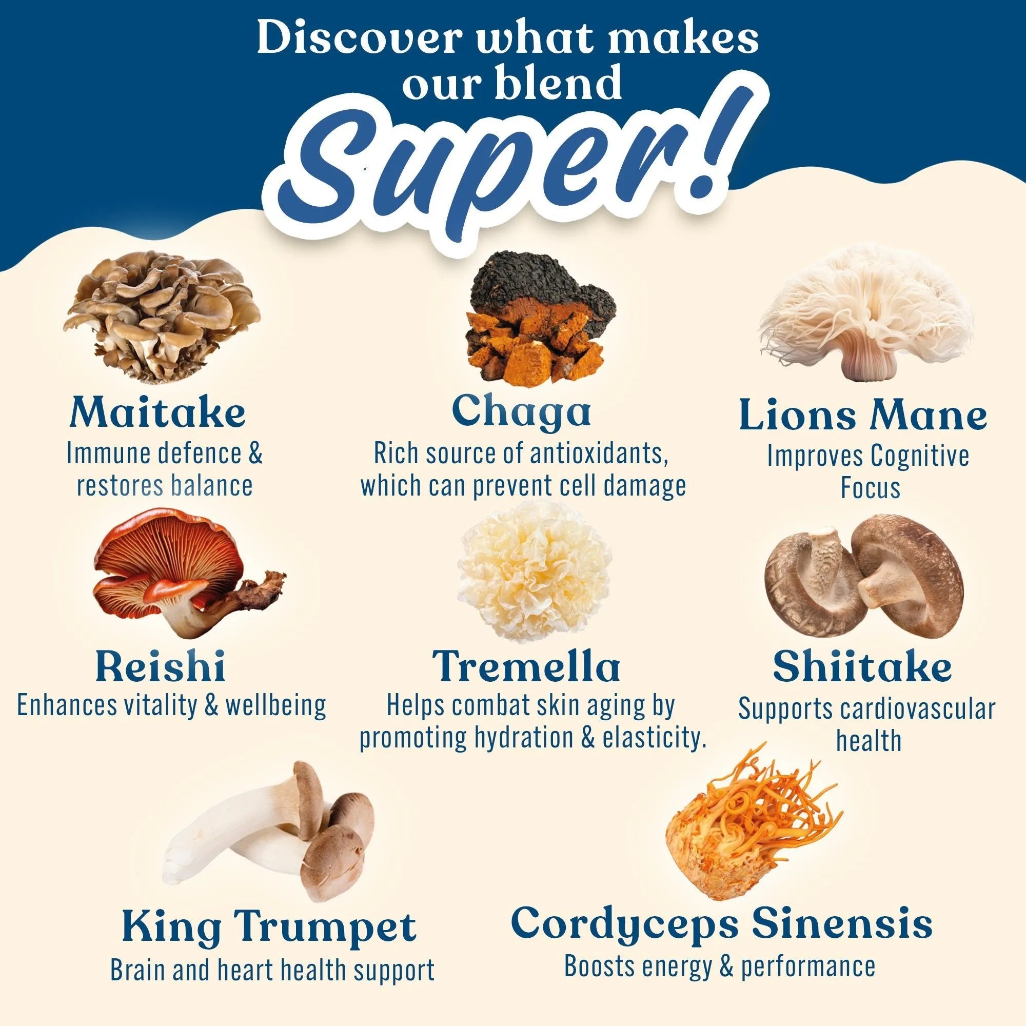 Applied Nutrition Mushroom Superblend poudre champignons 160g 8 champignons